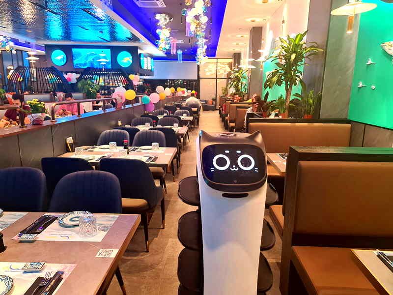 Restaurante Japonés Ocean. Detapasconchencho