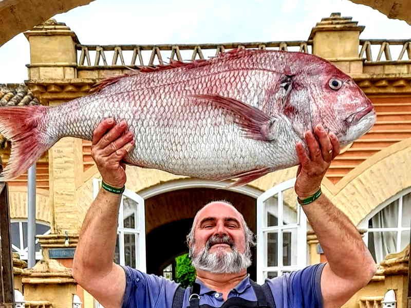 Restaurante La Pescadería. Detapasconchencho
