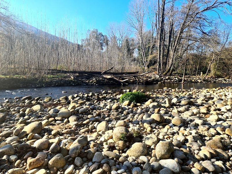 Ruta Gastronómica por el Valle del Jerte. Detapasconchencho