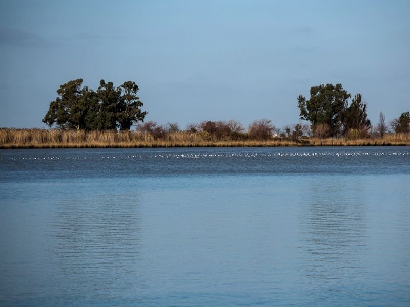 Ruta Gastronómica por el Bajo Guadalquivir. Detapasconchencho