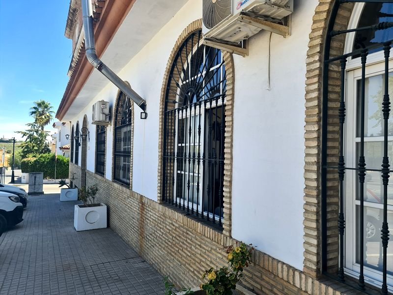 Mesón Las Palmeras. Detapasconchencho