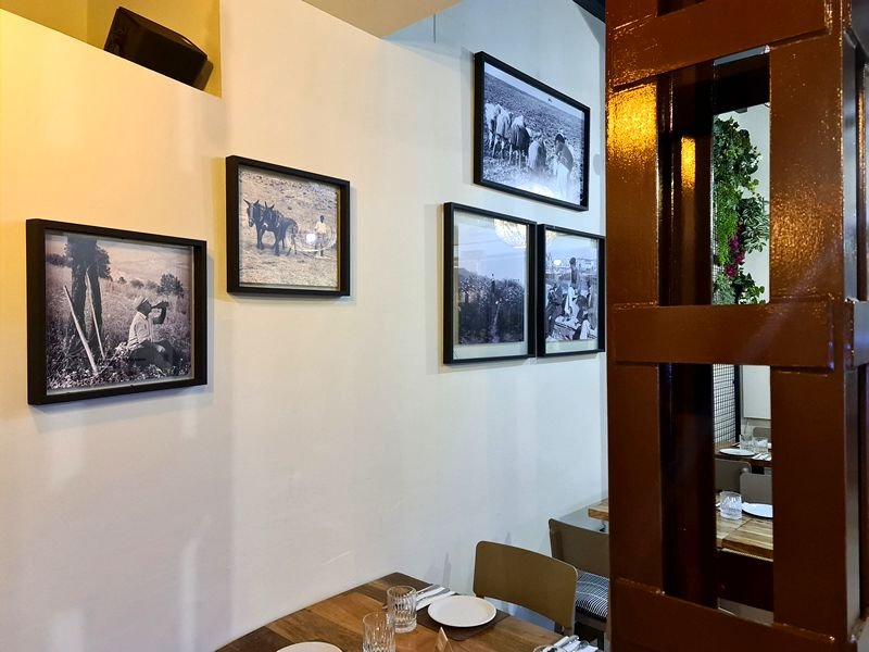 Rastrojo Sevilla. Detapasconchencho